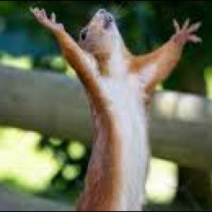 Meet your Posher, Christian